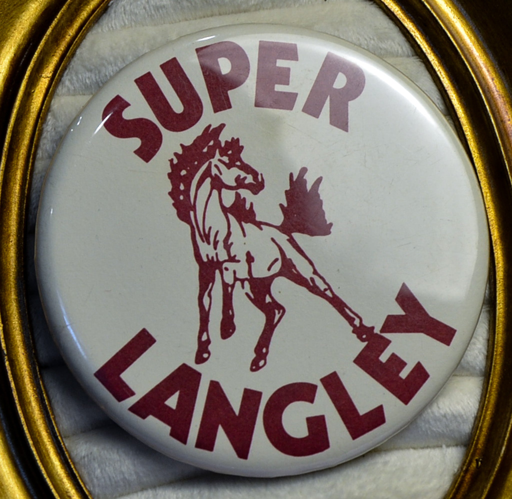 Super Langley Mustang XL Pin