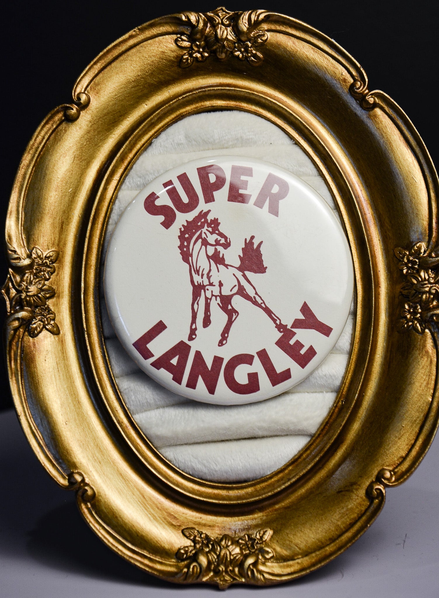 Super Langley Mustang XL Pin