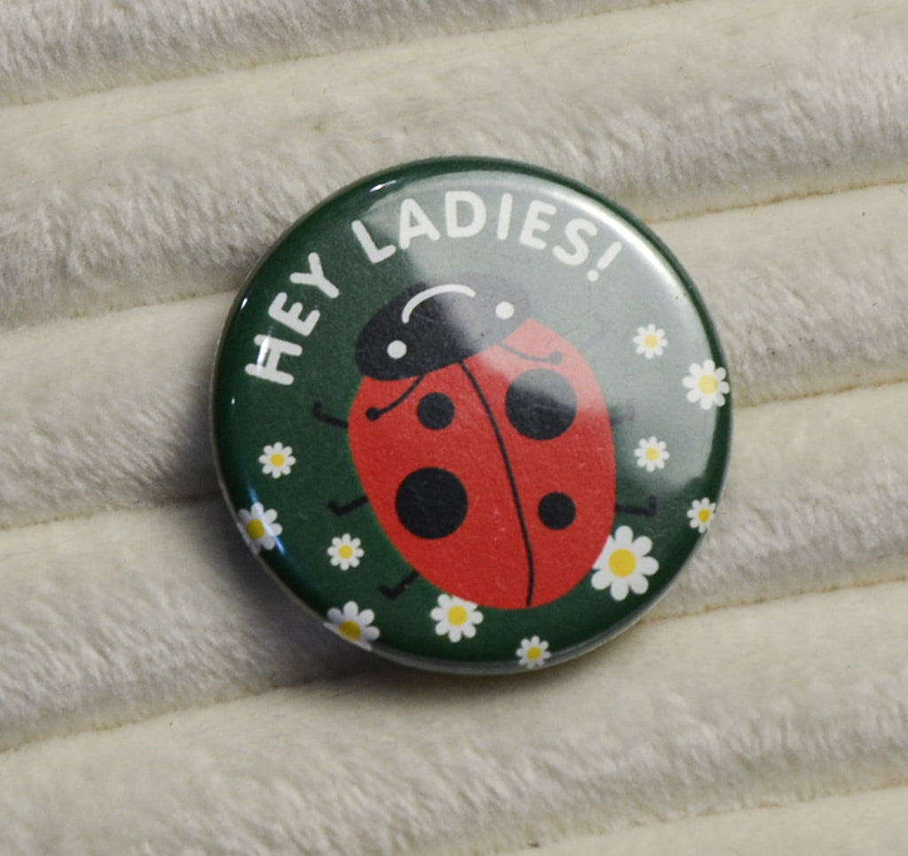 Hey Ladies Ladybug Pin
