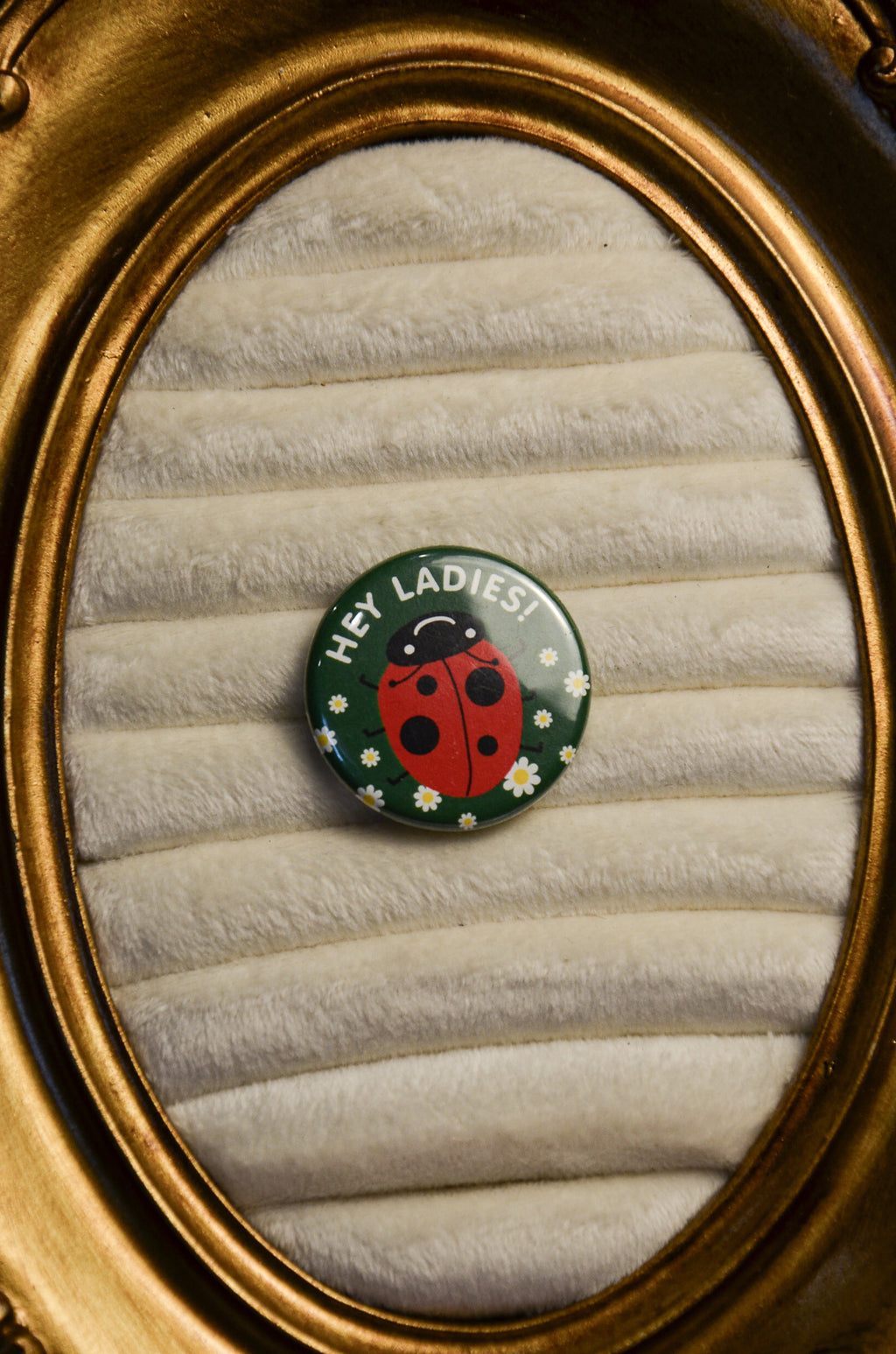 Hey Ladies Ladybug Pin