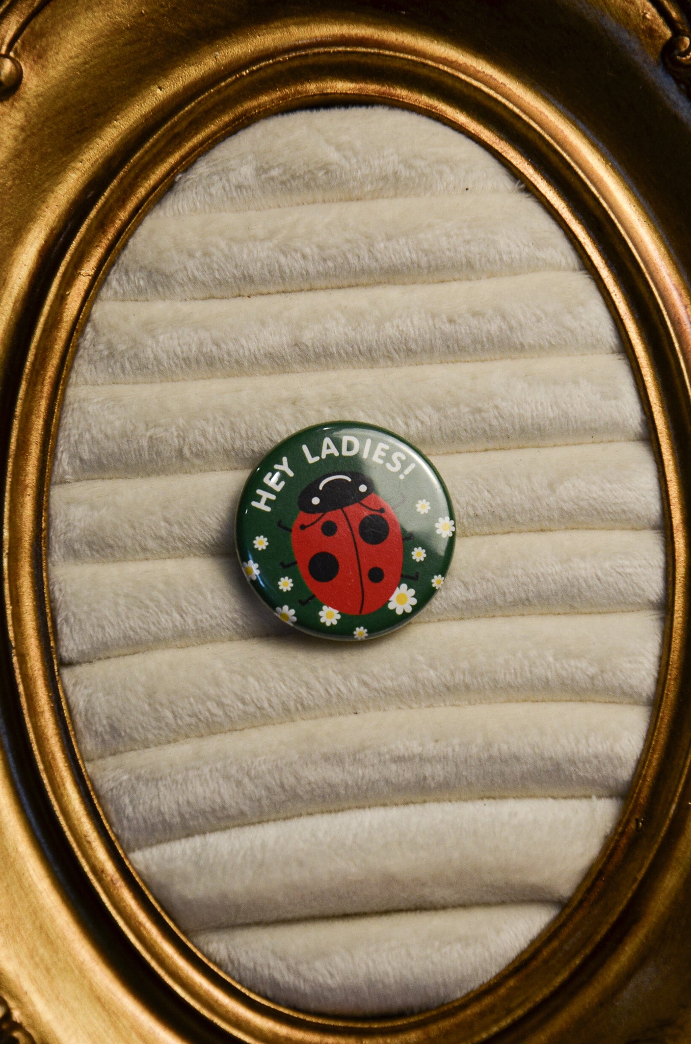 Hey Ladies Ladybug Pin