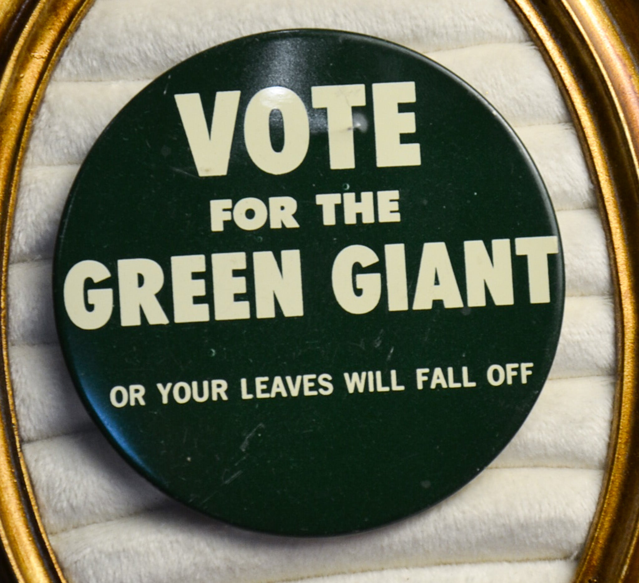 1960s Vote For The Green Giant Pin